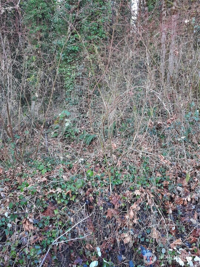 0 Eriksen Pl, Concrete, WA 98237