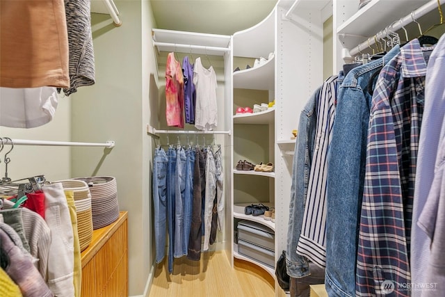 view of walk in closet