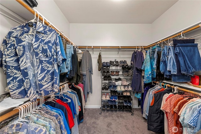 spacious closet featuring carpet floors