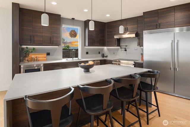 kitchen with under cabinet range hood, a sink, dark brown cabinets, appliances with stainless steel finishes, and light wood-type flooring