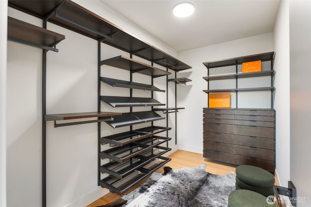 spacious closet featuring light wood-type flooring