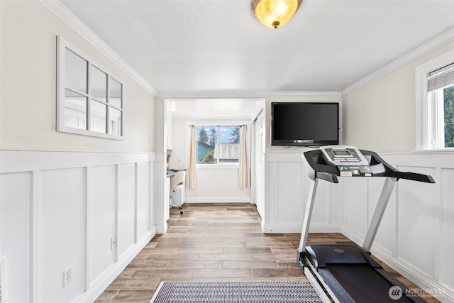 exercise room with crown molding, a wainscoted wall, light wood-style floors, and a decorative wall