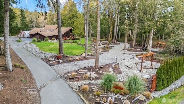 view of yard featuring a forest view