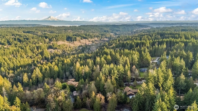 aerial view with a mountain view and a view of trees