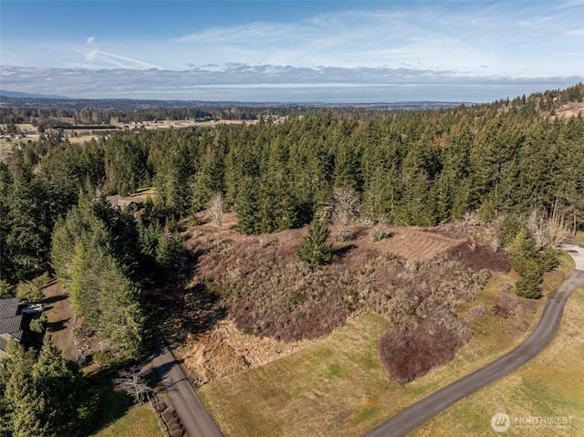 9999 Forest View Dr, Sequim WA, 98382 land for sale