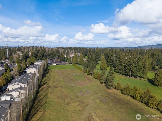 bird's eye view with a forest view