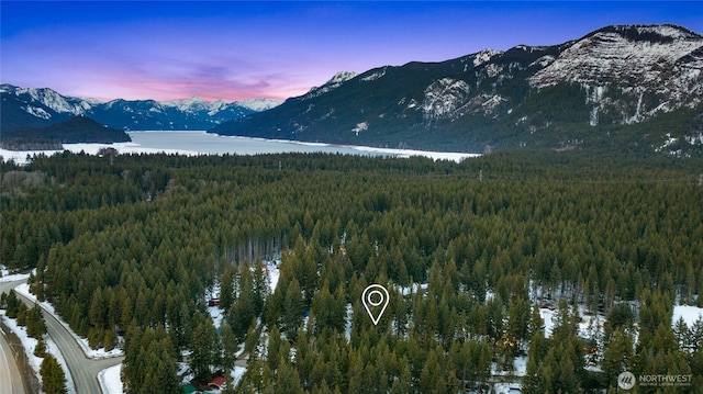 view of mountain feature with a water view and a wooded view