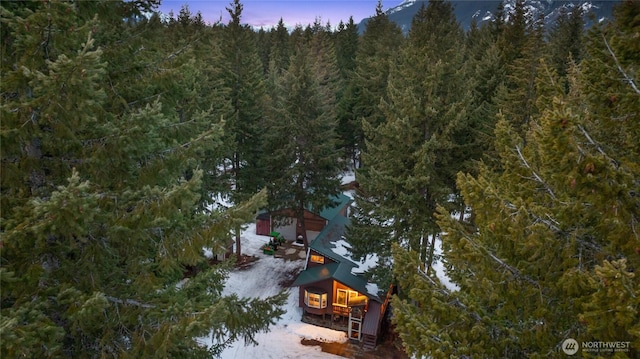 aerial view at dusk featuring a view of trees