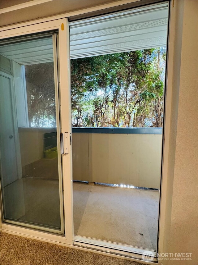 entryway featuring a wealth of natural light