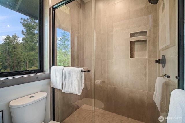 bathroom with toilet and a shower stall