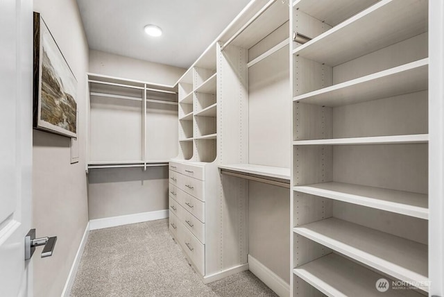 walk in closet with carpet flooring