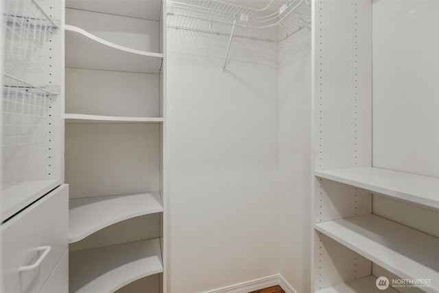 view of spacious closet