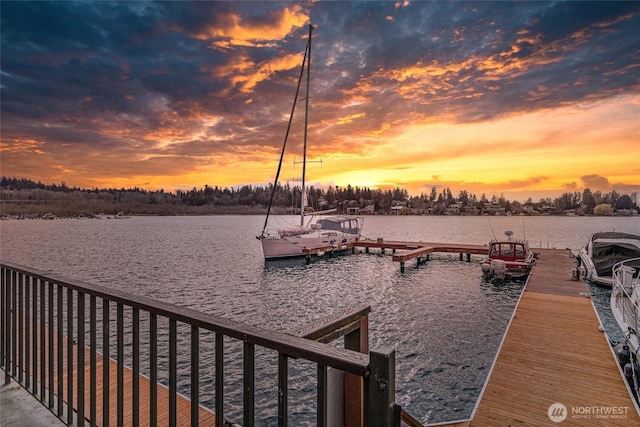 dock area featuring a water view