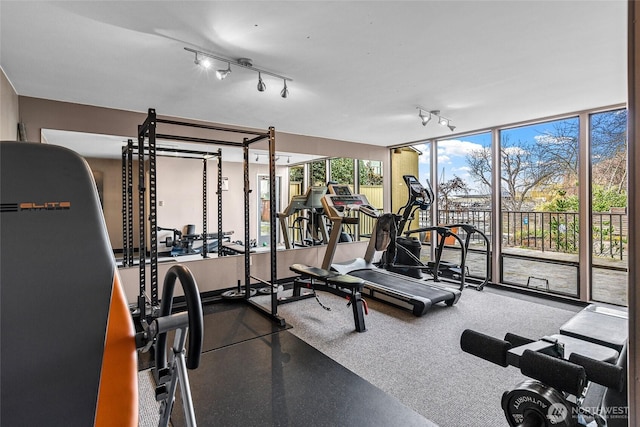 exercise room with track lighting and a wall of windows