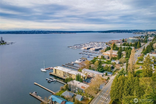 birds eye view of property featuring a water view