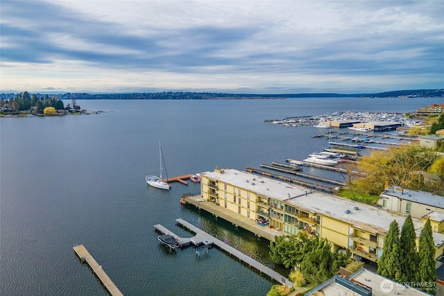 drone / aerial view with a water view