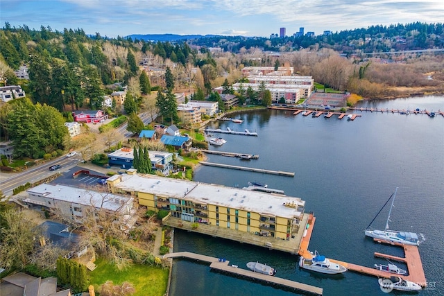 bird's eye view with a water view