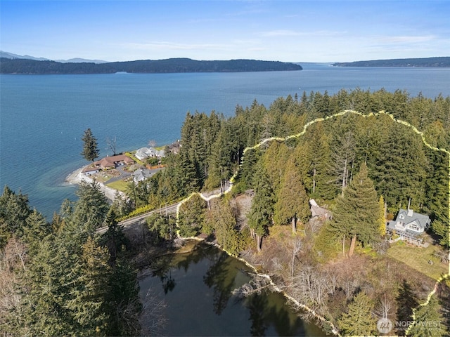 birds eye view of property with a water view and a forest view