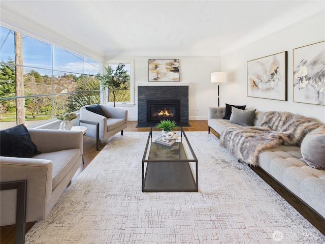 living area with a fireplace, baseboards, and wood finished floors