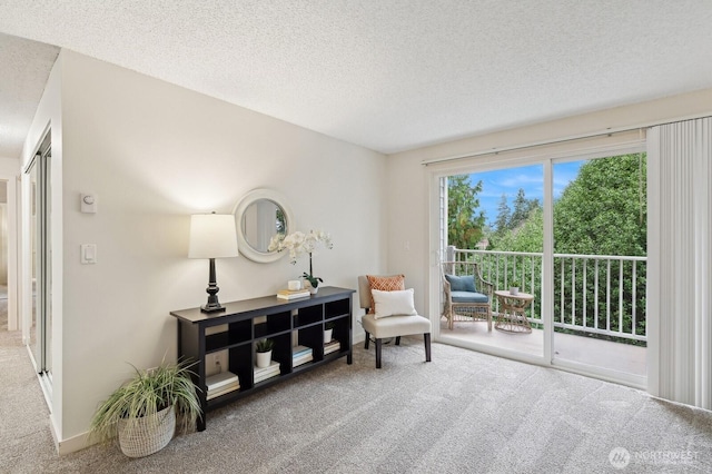 sitting room featuring carpet floors and a textured ceiling