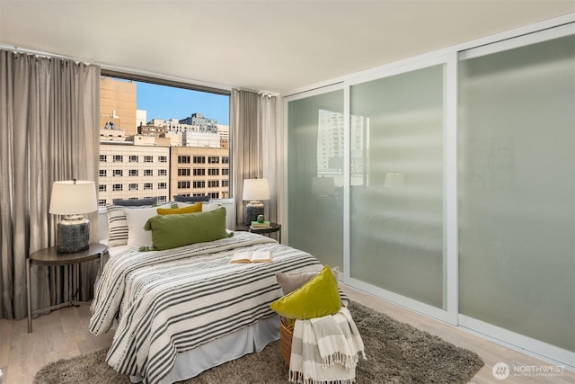 bedroom featuring two closets, a view of city, and wood finished floors