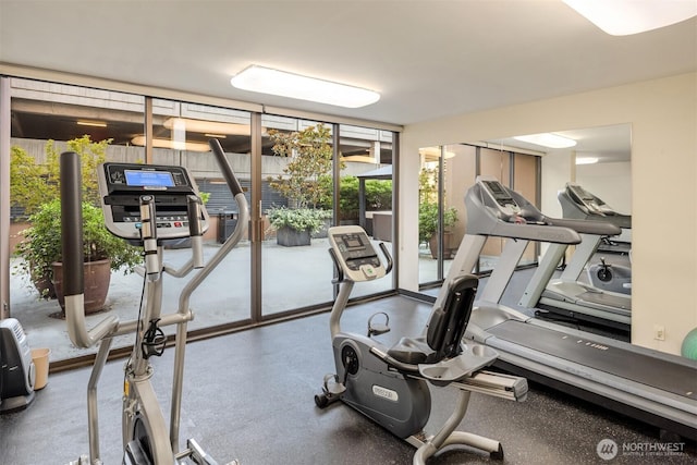 exercise room with a wall of windows