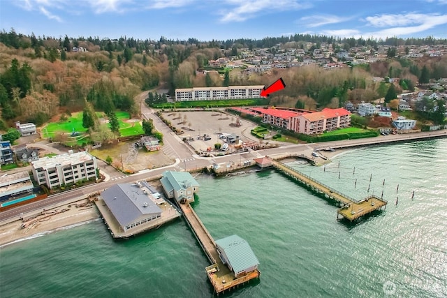 aerial view with a water view