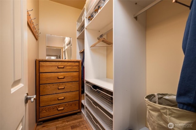 walk in closet featuring wood finished floors