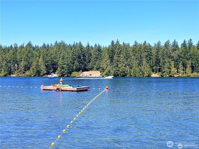 12611 Silver Dr, Anderson Island, WA 98303