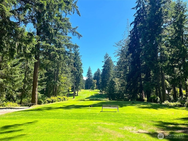 12611 Silver Dr, Anderson Island, WA 98303