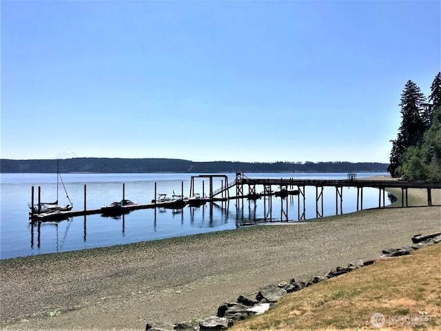 12611 Silver Dr, Anderson Island, WA 98303