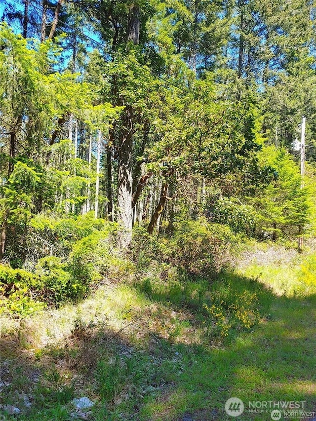 12121 Sunset Pl, Anderson Island WA, 98303 land for sale