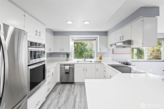 kitchen featuring stainless steel appliances, a wealth of natural light, a sink, and under cabinet range hood