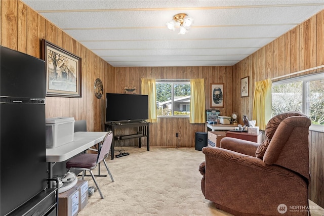 living area with wooden walls, a textured ceiling, and light colored carpet