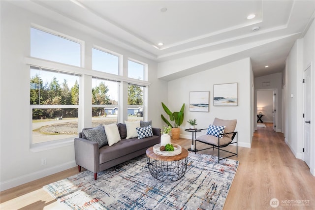 living area featuring light wood-style floors, baseboards, and a raised ceiling