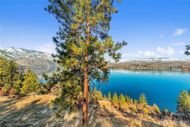 7365 Ridgeview Dr, Chelan WA, 98816 land for sale