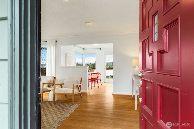 entrance foyer with baseboards and light wood-style floors