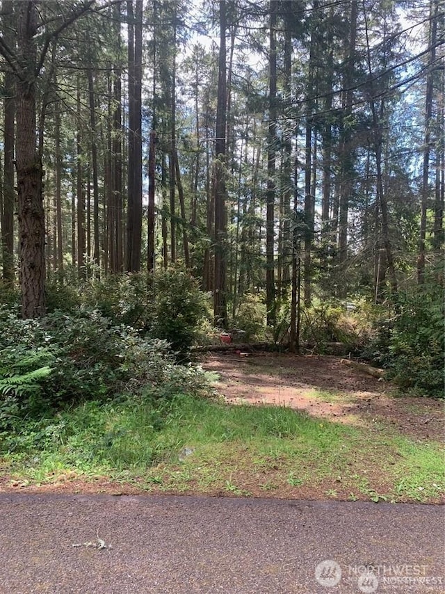 12108 Wapato Rd, Anderson Island WA, 98303 land for sale