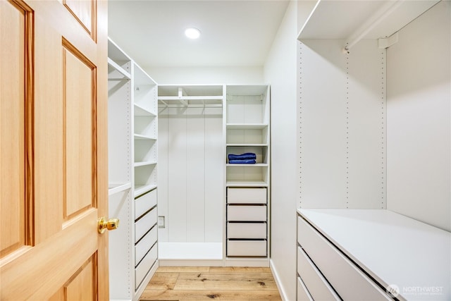 spacious closet with light wood-type flooring