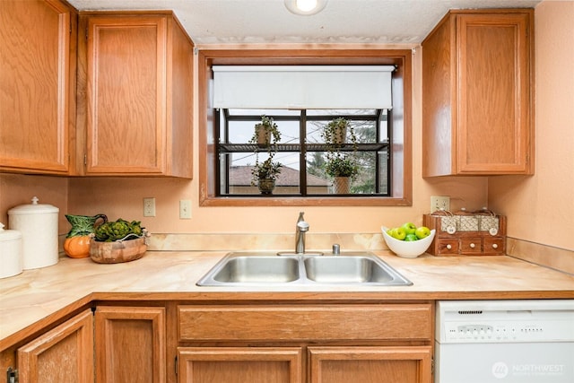 kitchen with light countertops, dishwasher, and a sink