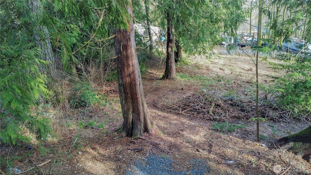 1 Mason St, Shelton, WA 98584