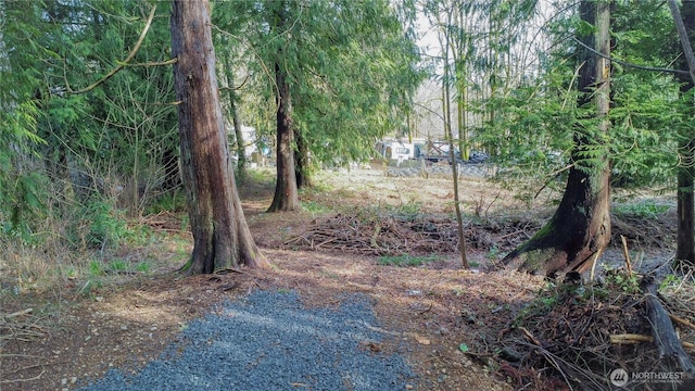 1 Mason St, Shelton, WA 98584