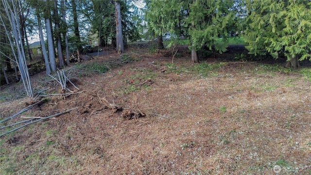 1 Mason St, Shelton, WA 98584