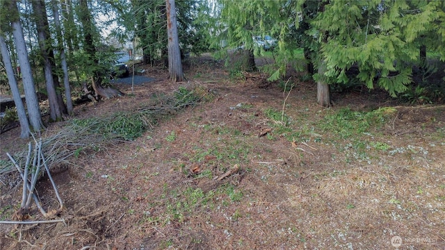 1 Mason St, Shelton, WA 98584