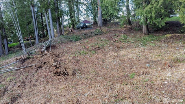 1 Mason St, Shelton, WA 98584