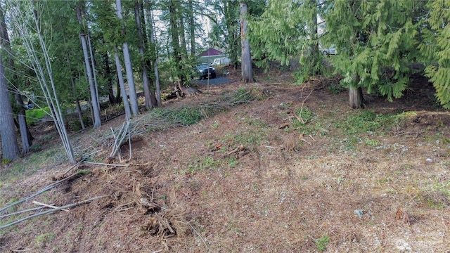 1 Mason St, Shelton, WA 98584