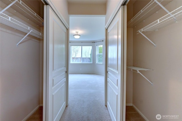 spacious closet featuring carpet floors