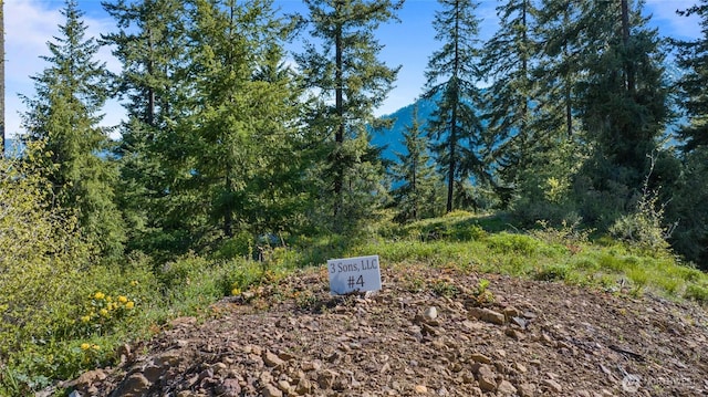 40 Newport Creek Loop, Ronald WA, 98940 land for sale