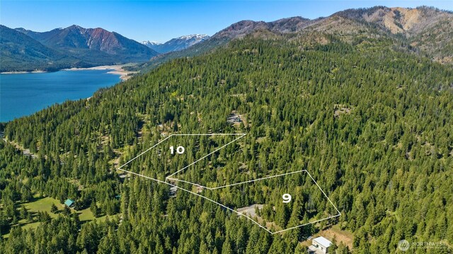 9 Salmon La Sac Hwy, Ronald WA, 98940 land for sale