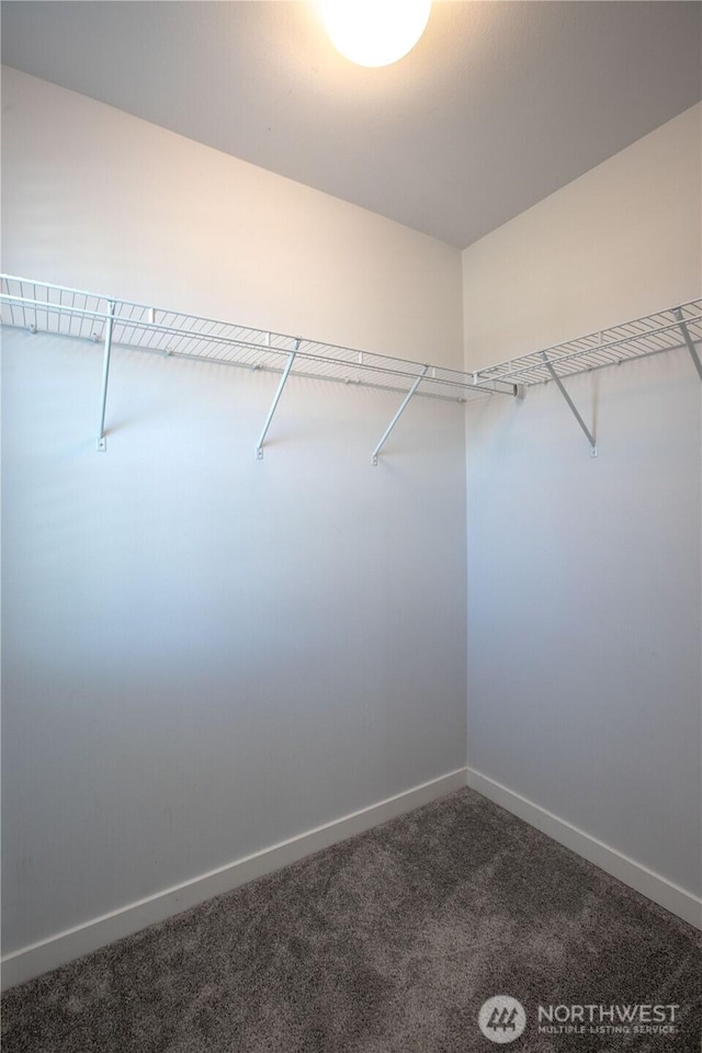 walk in closet featuring dark carpet